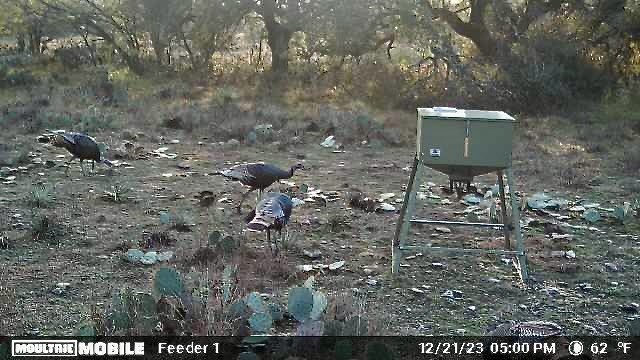 401 Fallow Spur Melvin TX 76858