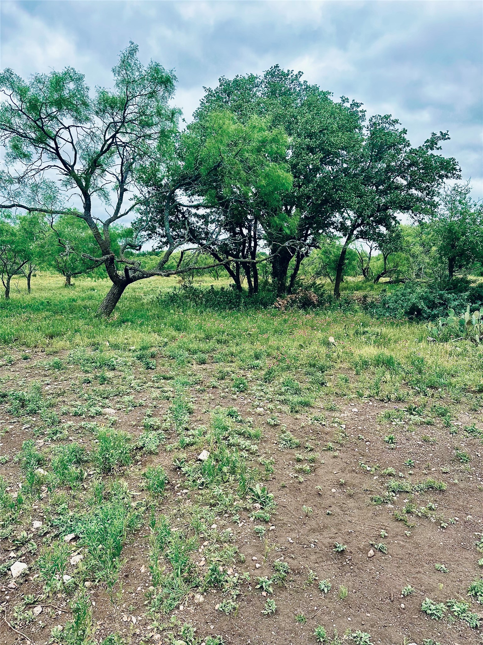 401 Fallow Spur Melvin TX 76858