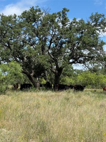 401 Fallow Spur Melvin TX 76858