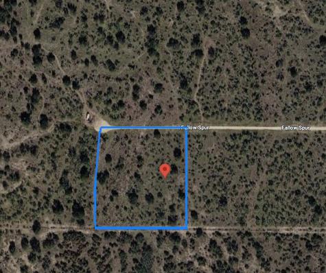 401 Fallow Spur Melvin TX 76858