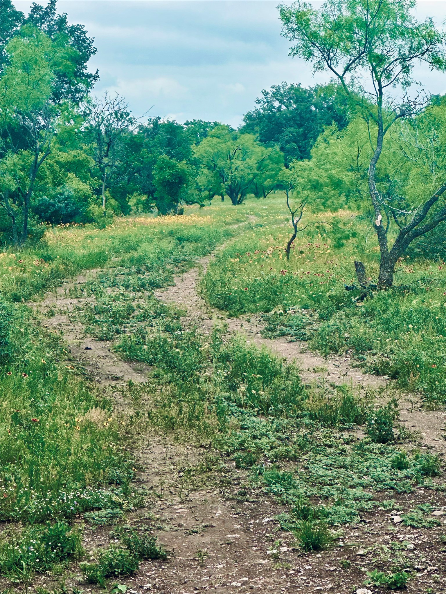 401 Fallow Spur Melvin TX 76858