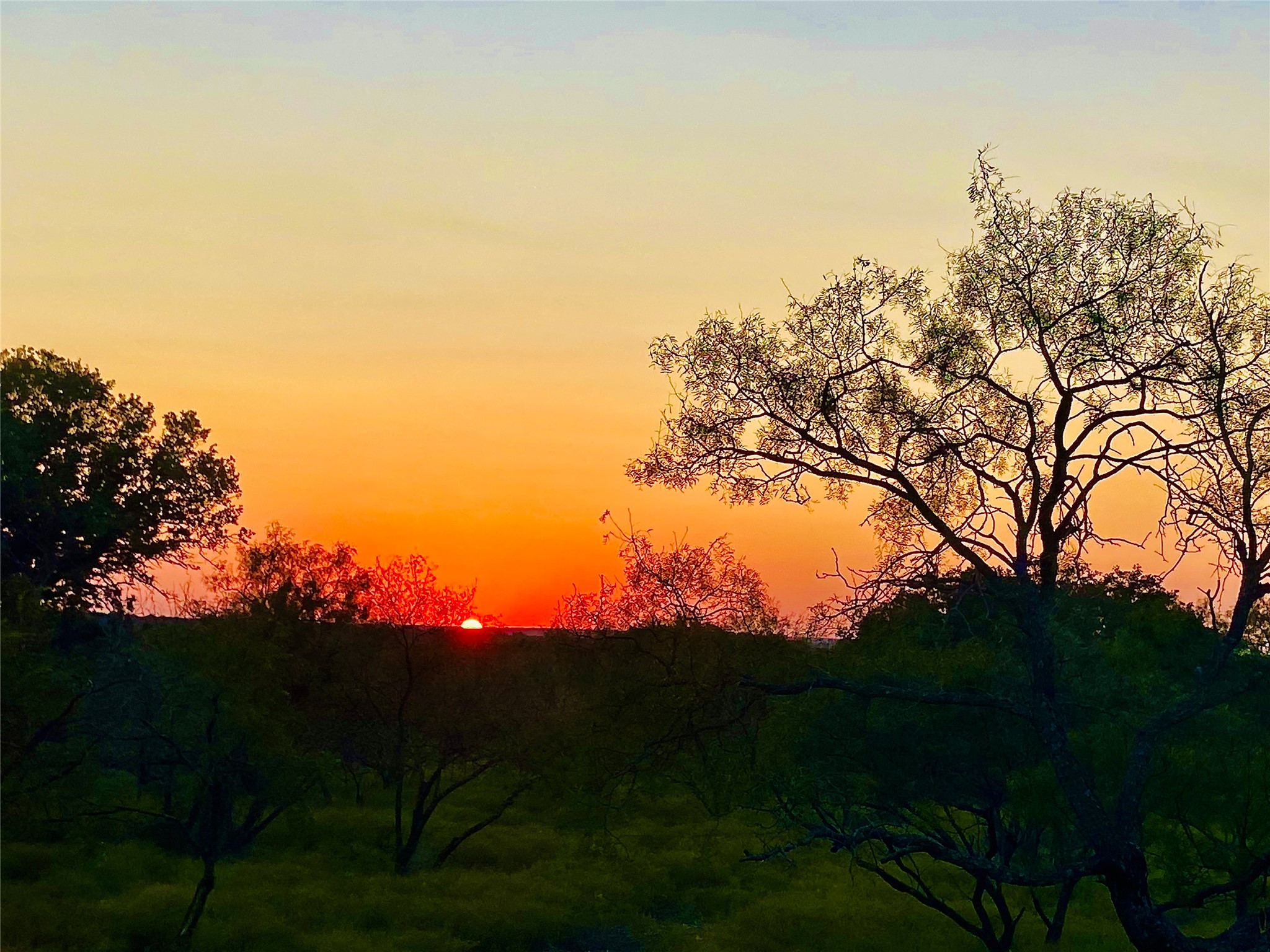 401 Fallow Spur Melvin TX 76858