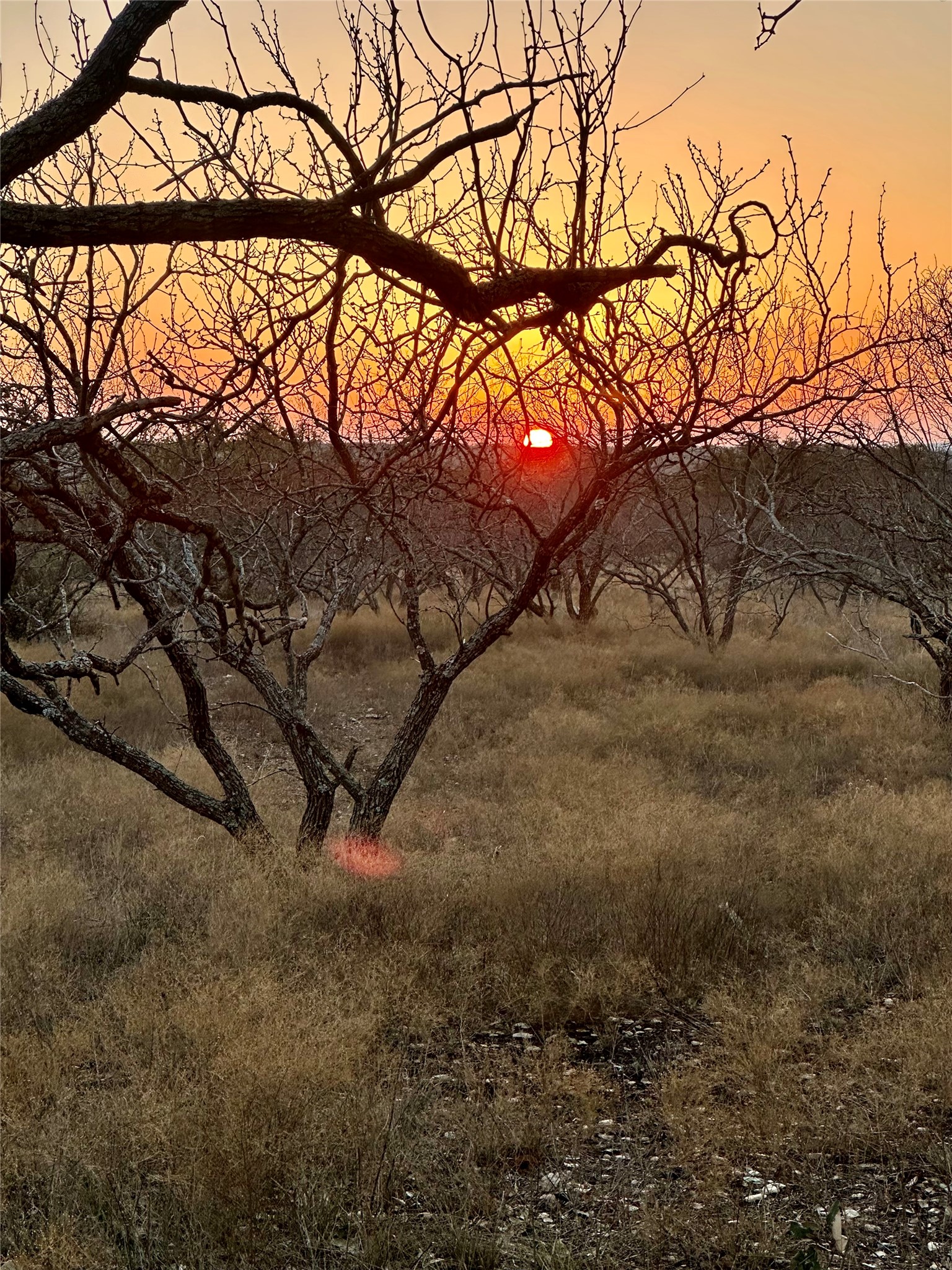 401 Fallow Spur Melvin TX 76858