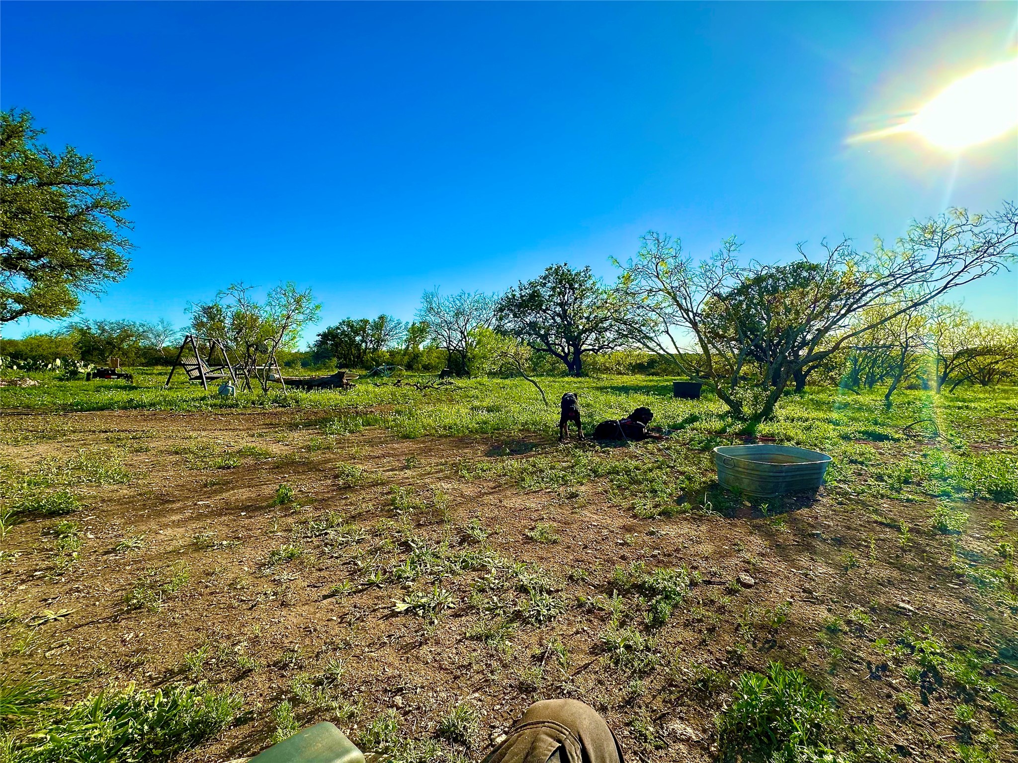 401 Fallow Spur Melvin TX 76858