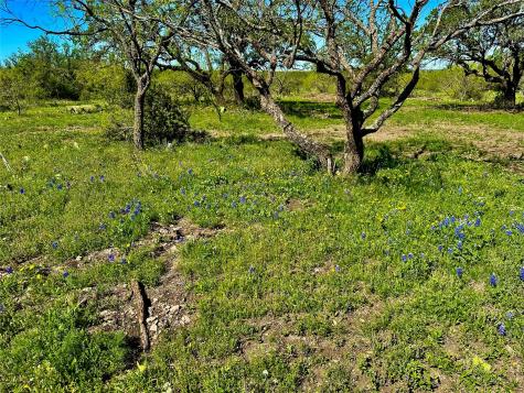 401 Fallow Spur Melvin TX 76858