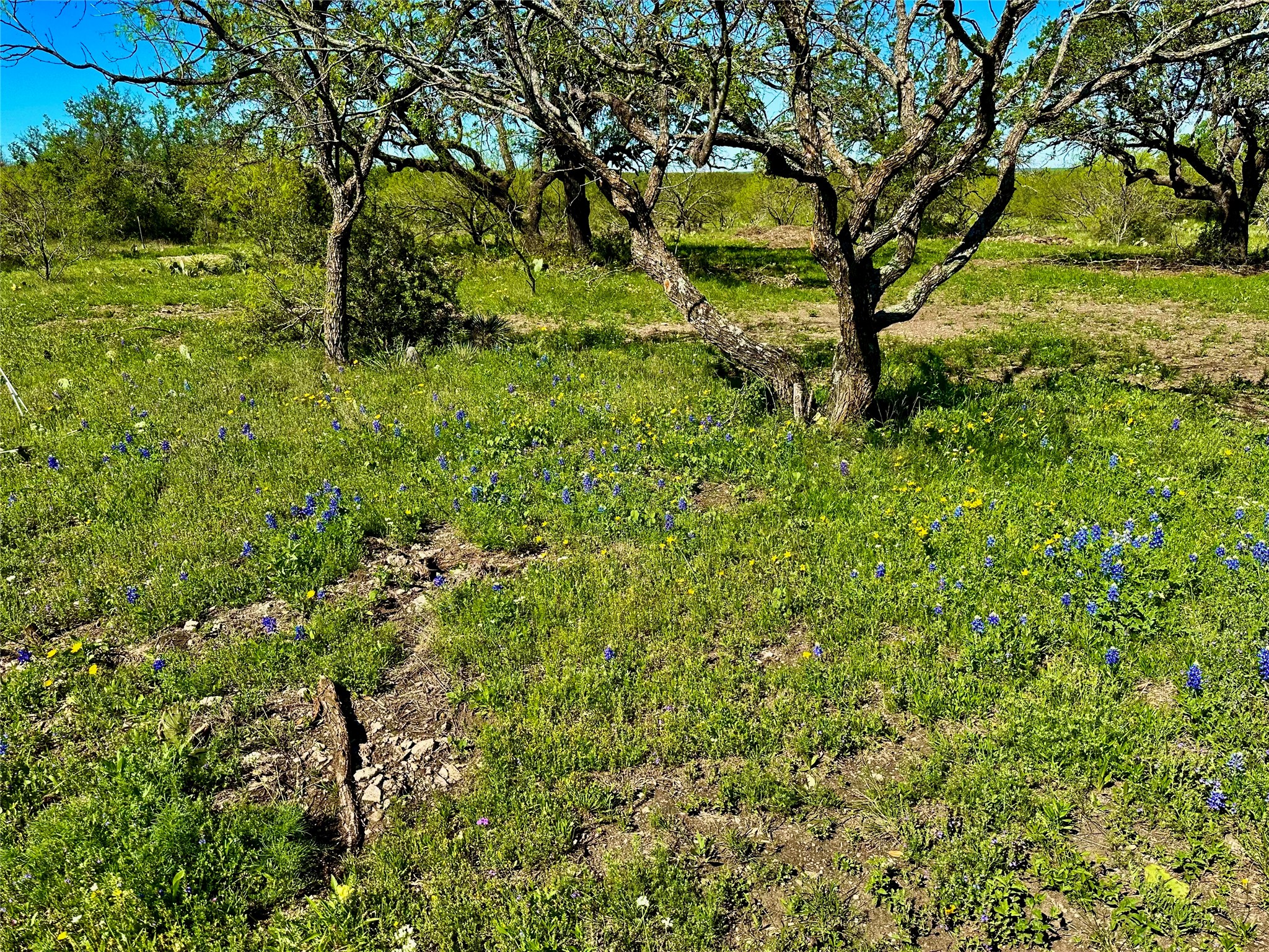 401 Fallow Spur Melvin TX 76858