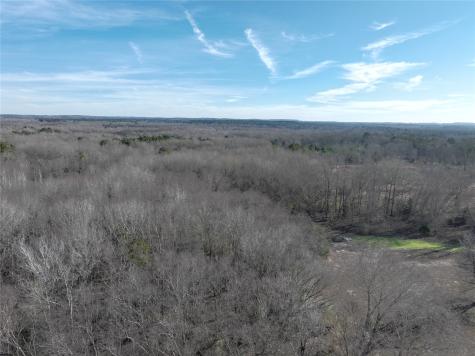 Tbd County Road 3170 Quitman TX 75783
