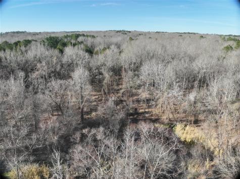 Tbd County Road 3170 Quitman TX 75783