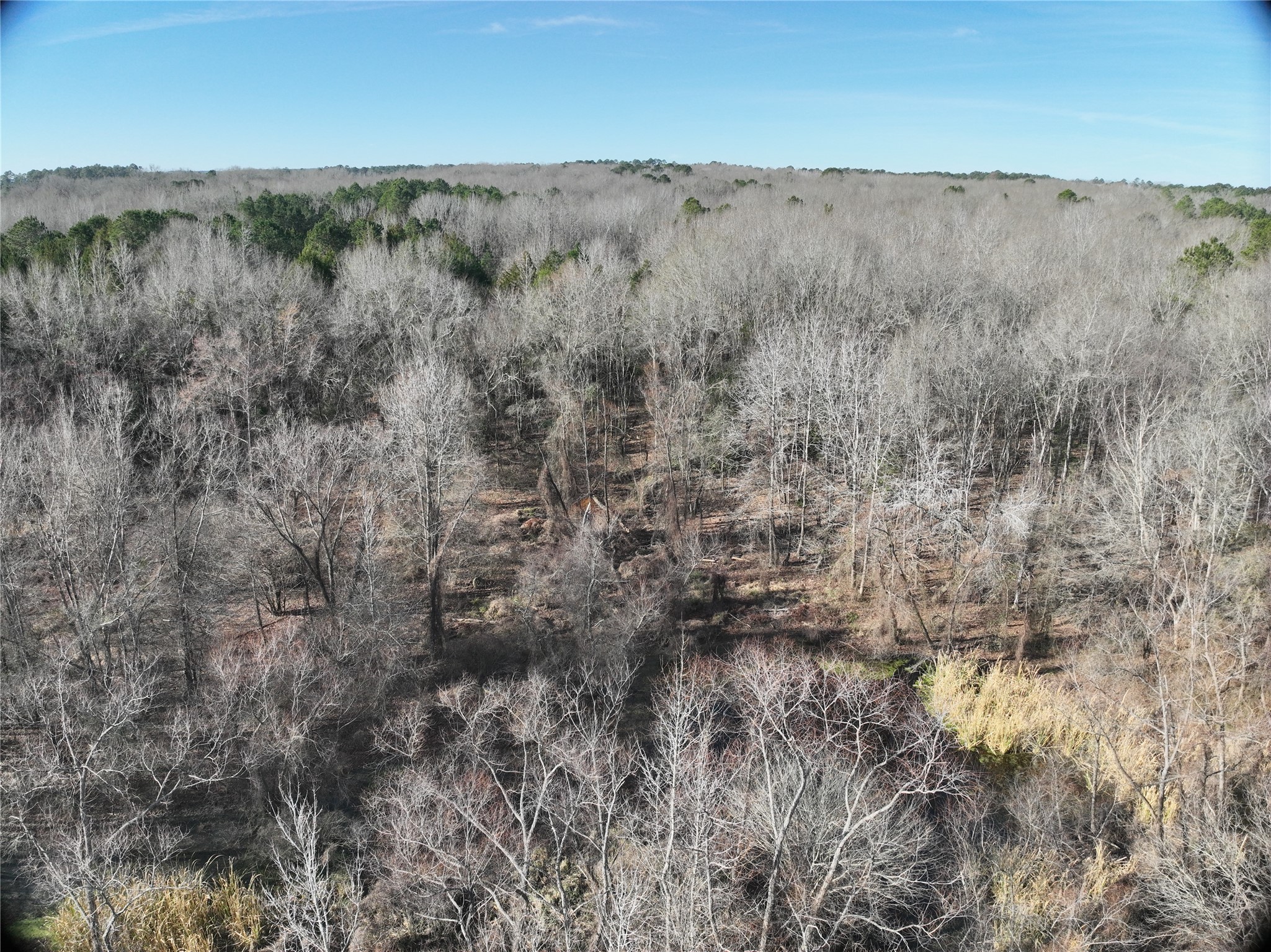 Tbd County Road 3170 Quitman TX 75783