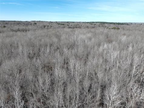 Tbd County Road 3170 Quitman TX 75783