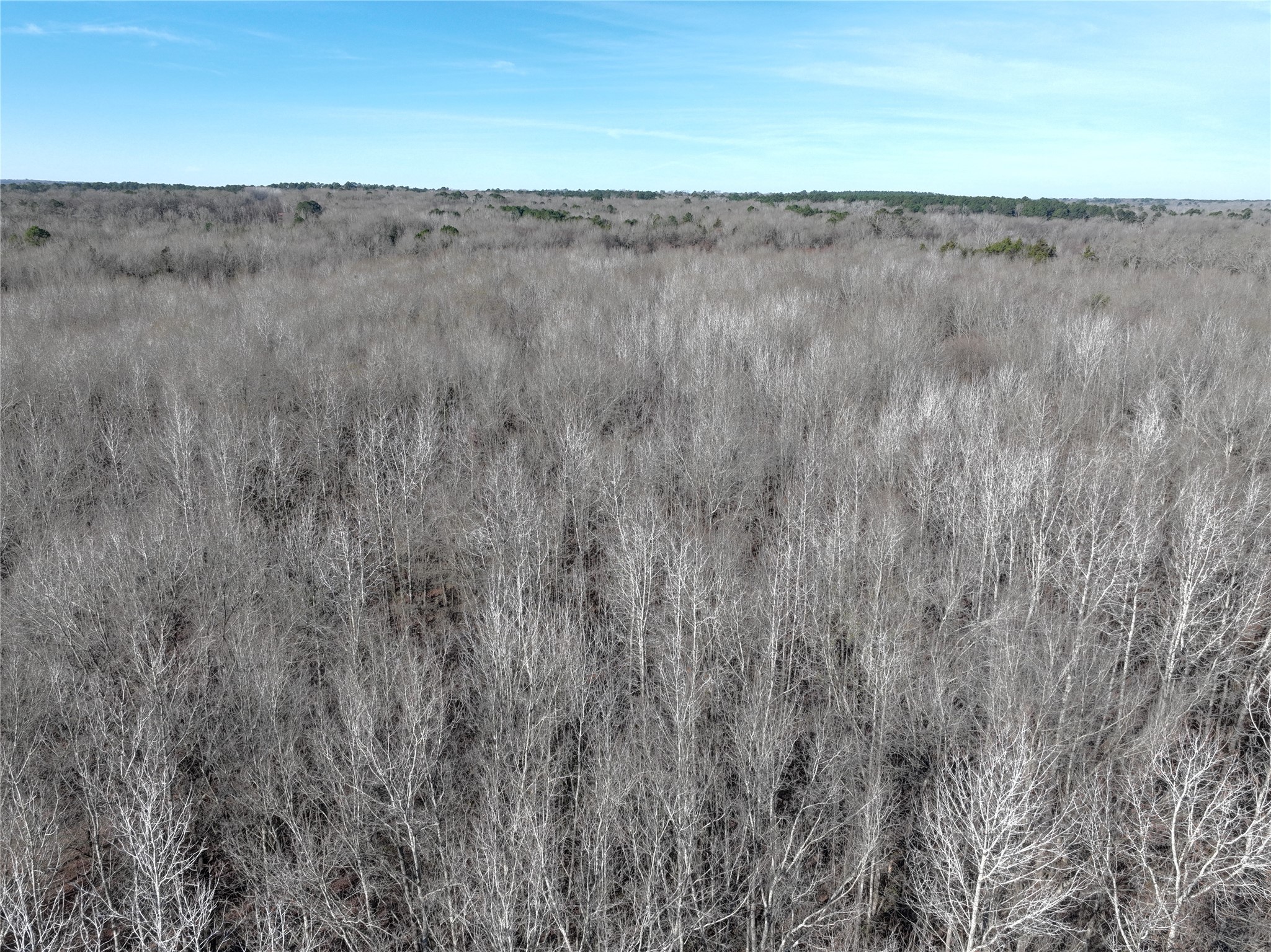 Tbd County Road 3170 Quitman TX 75783