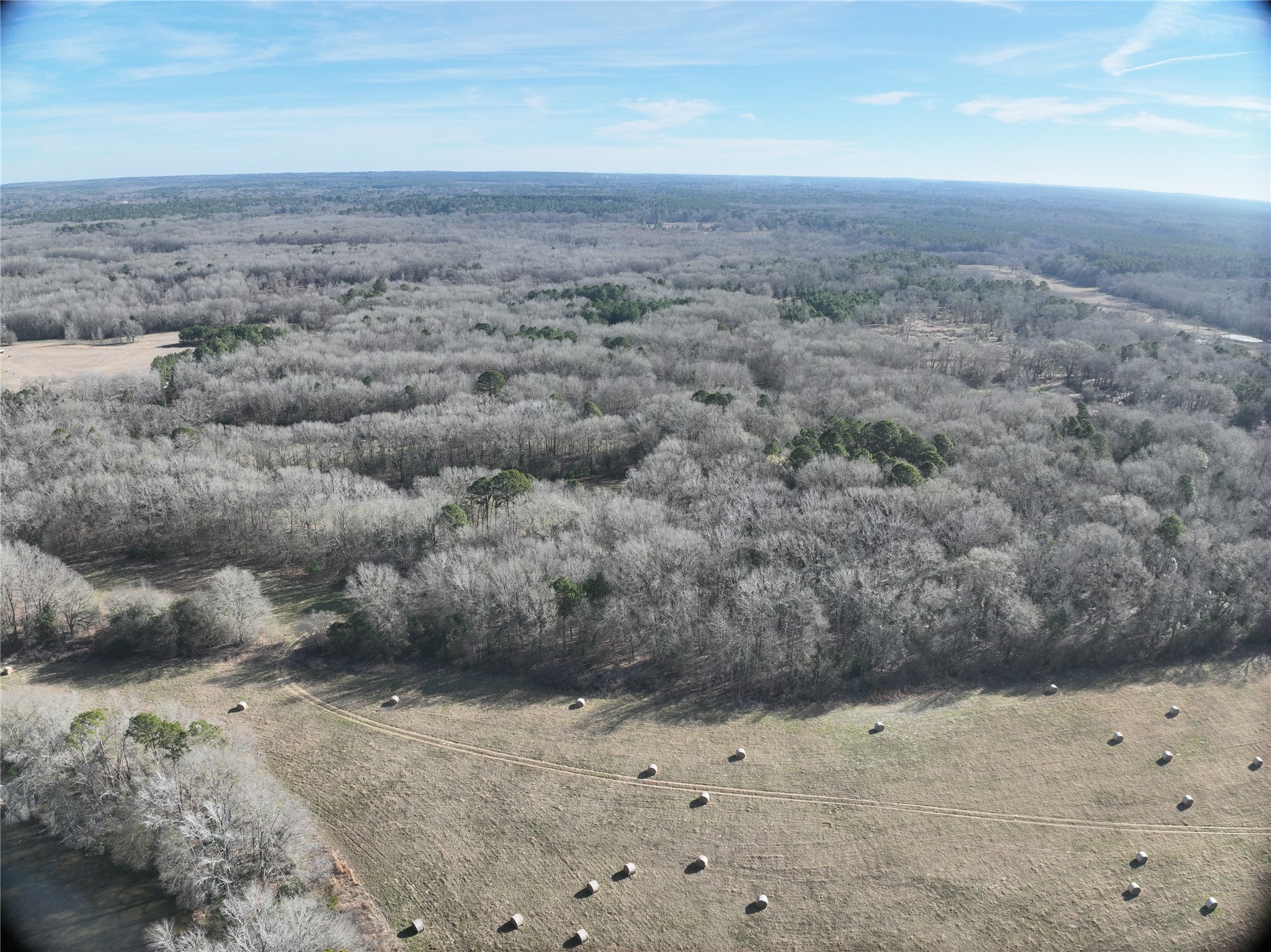 Tbd County Road 3170 Quitman TX 75783