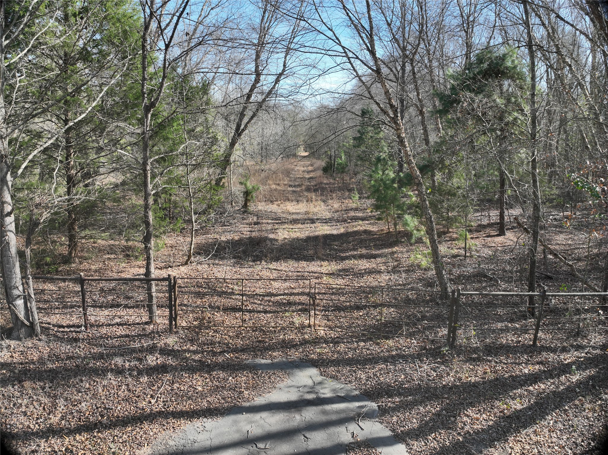 Tbd County Road 3170 Quitman TX 75783