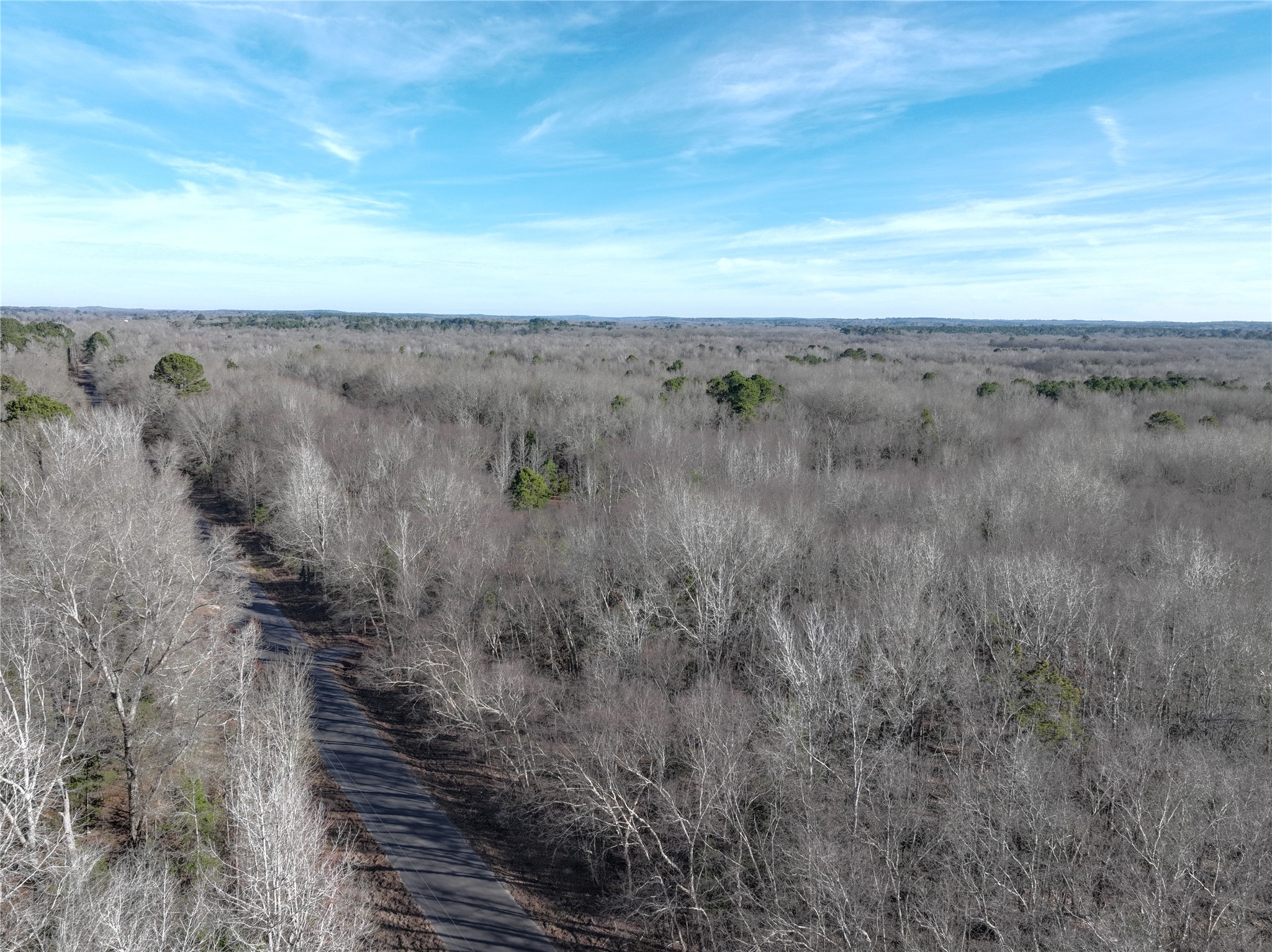 Tbd County Road 3170 Quitman TX 75783