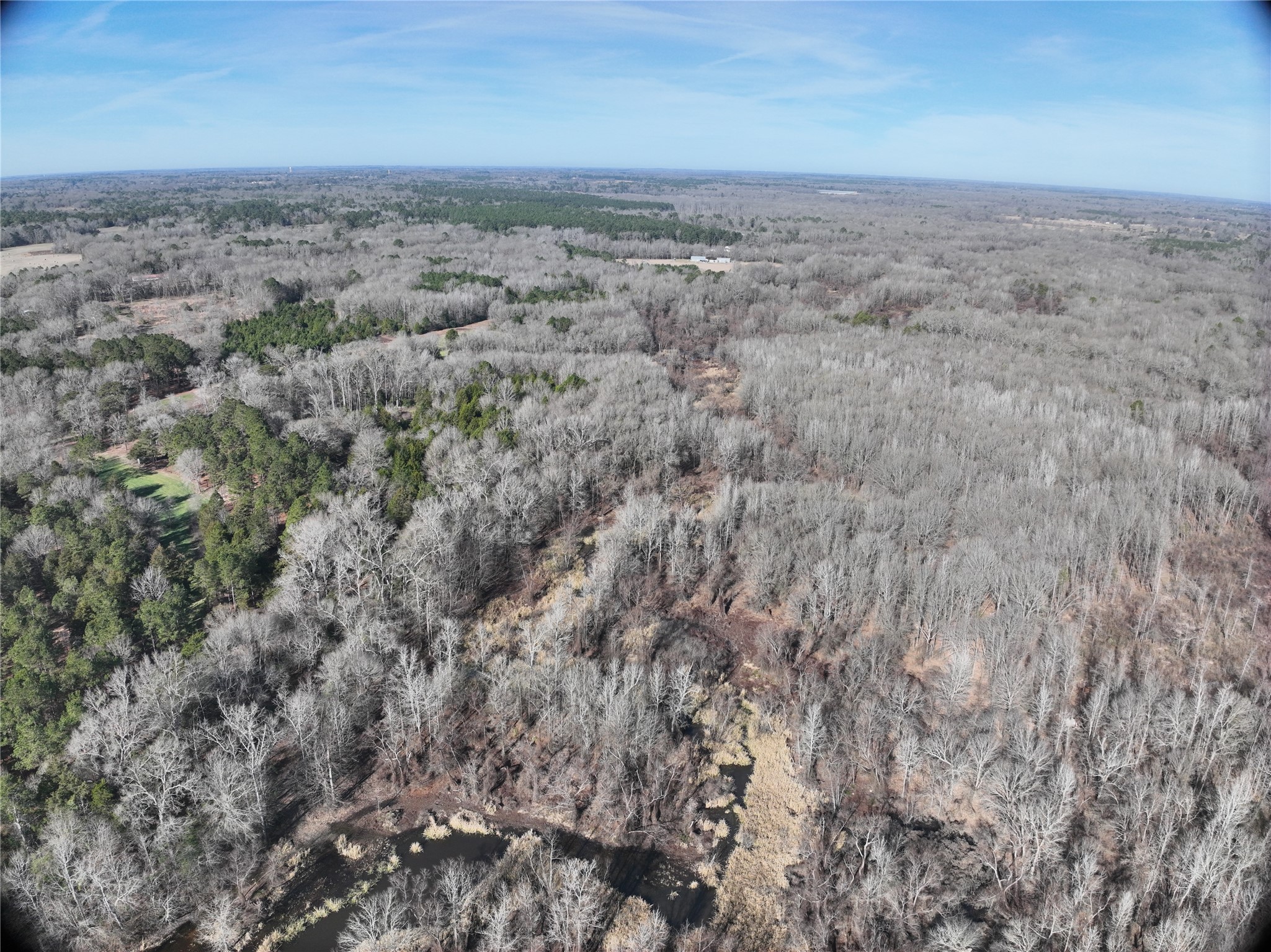 Tbd County Road 3170 Quitman TX 75783