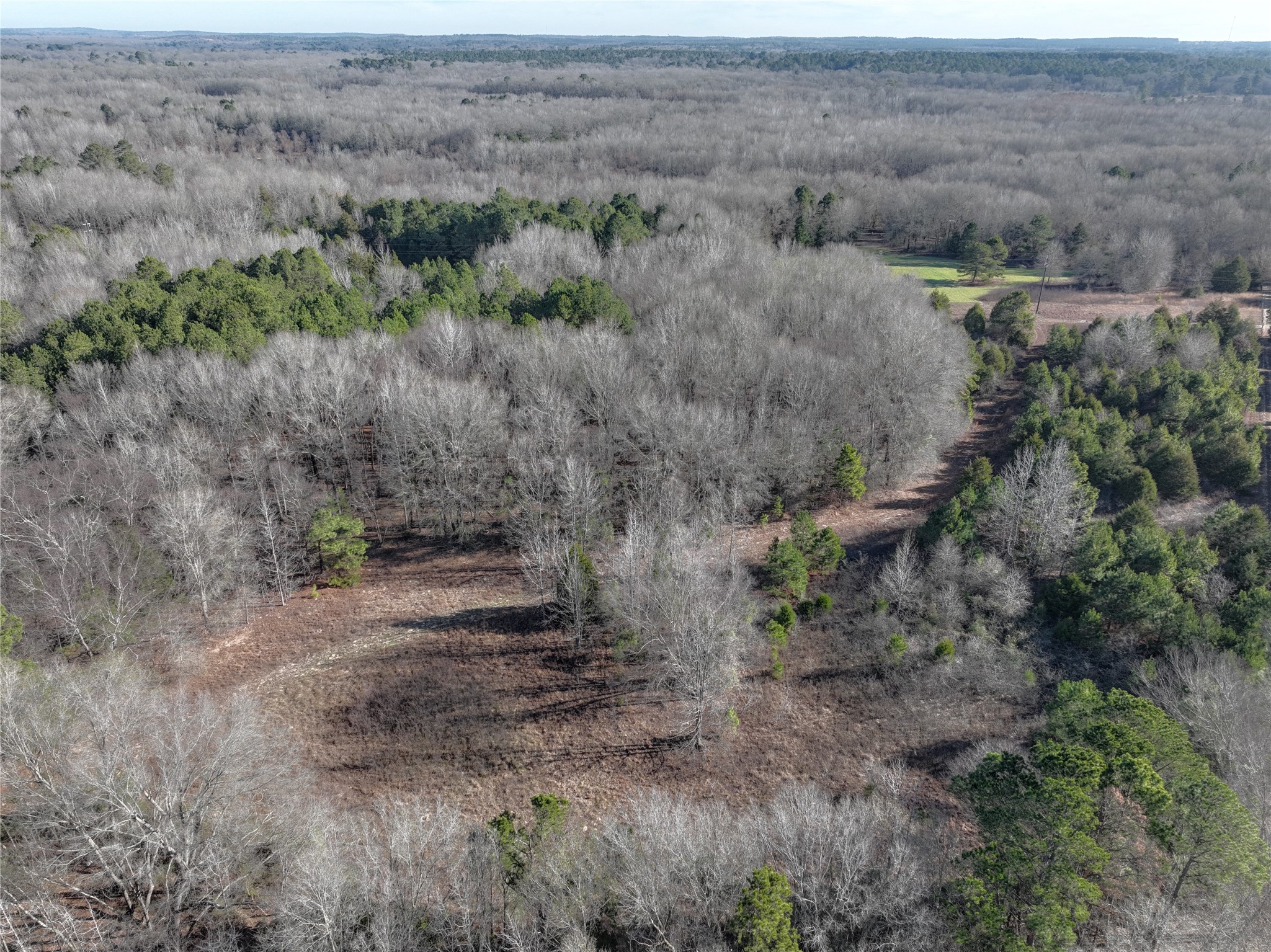 Tbd County Road 3170 Quitman TX 75783