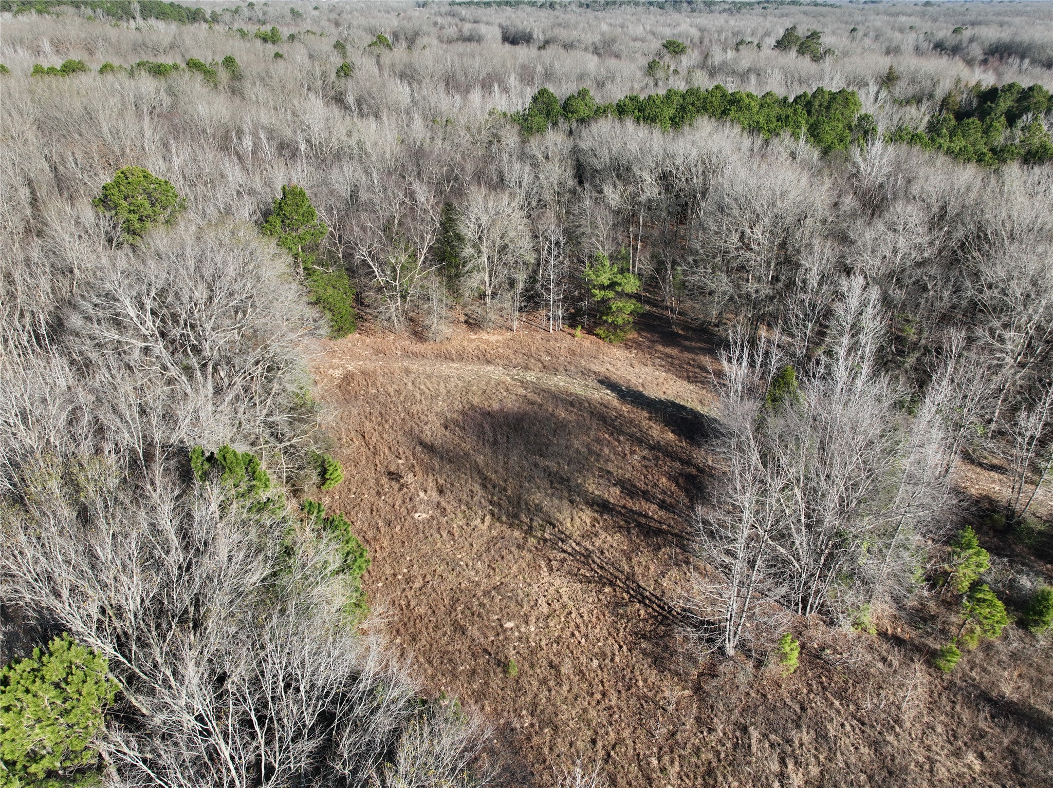 Tbd County Road 3170 Quitman TX 75783