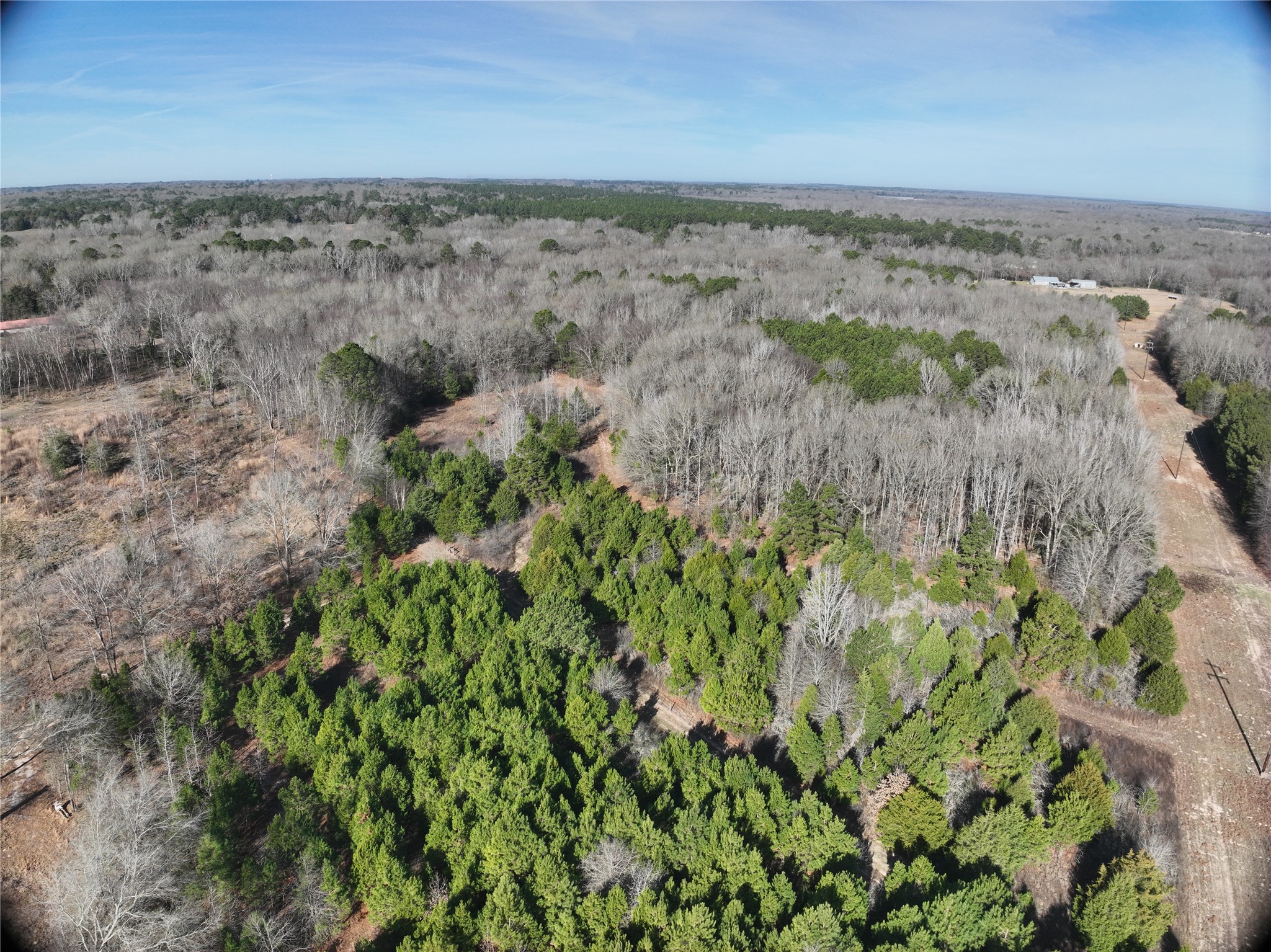 Tbd County Road 3170 Quitman TX 75783