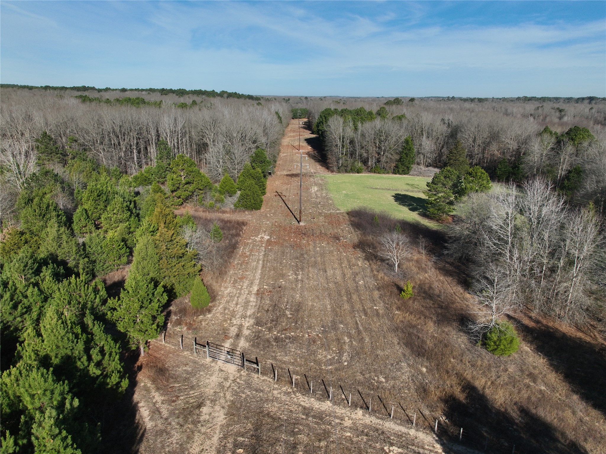 Tbd County Road 3170 Quitman TX 75783