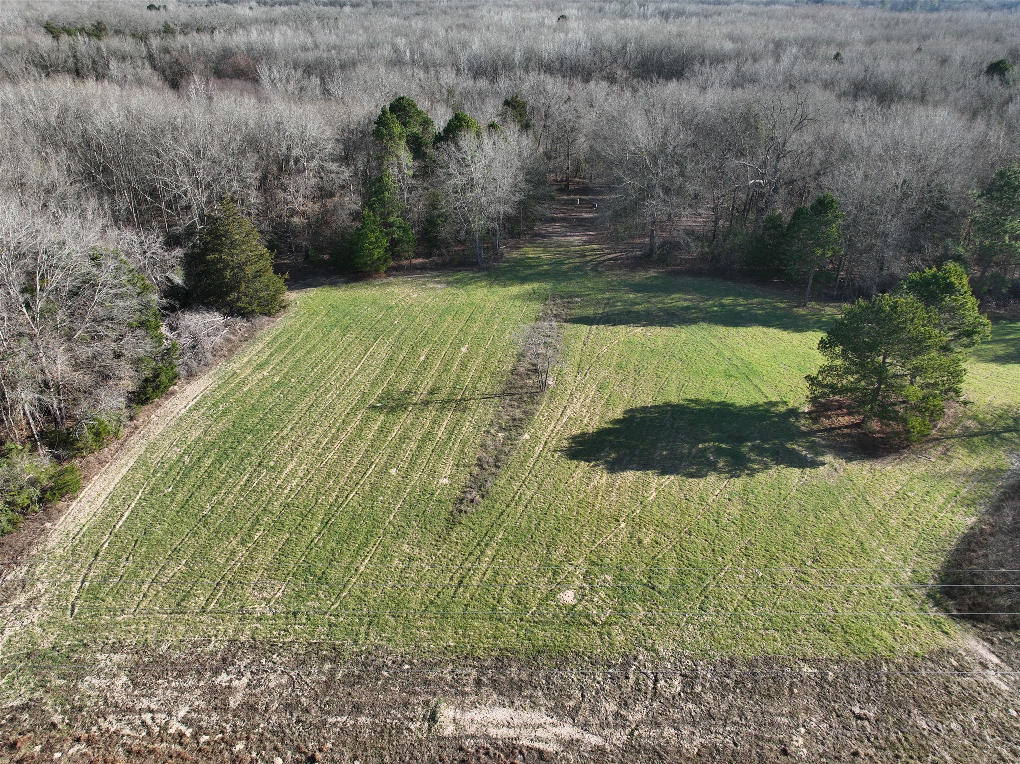 Tbd County Road 3170 Quitman TX 75783
