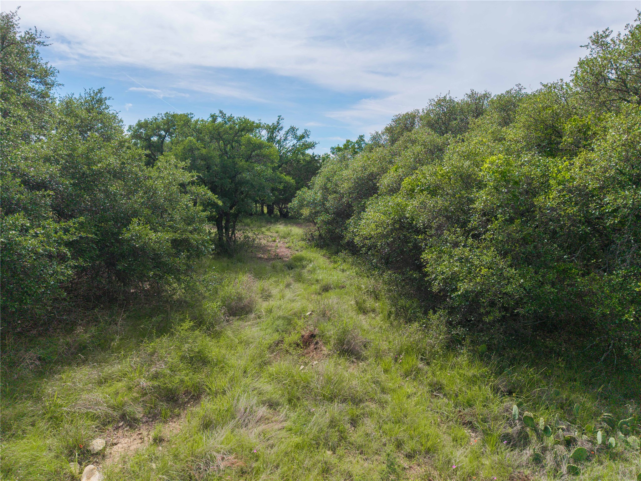 Tbd Farm To Market 3021 Brownwood TX 76801