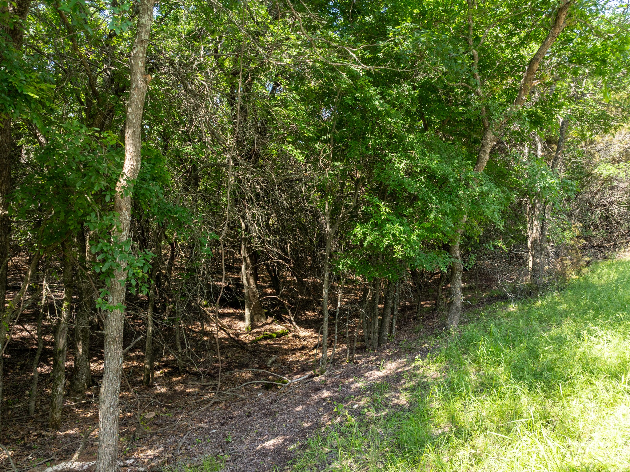 17149 Woodlawn Drive Whitney TX 76692