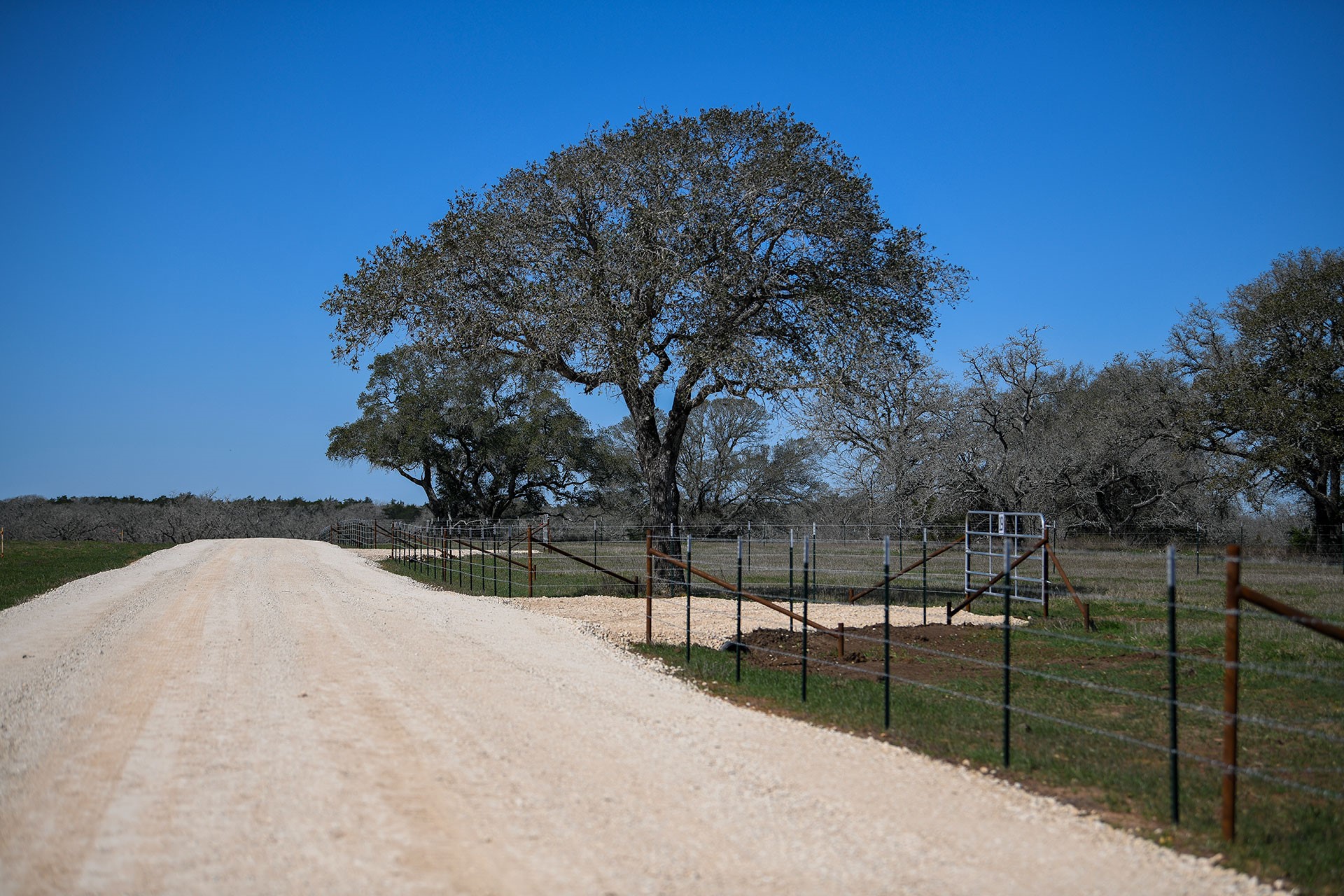 784 Main Loop Waelder TX 78959