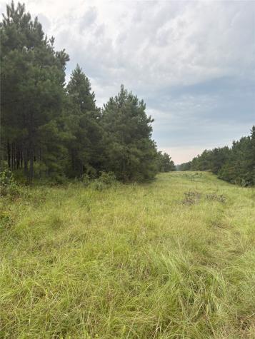1388 County Road 1060 Center TX 75935
