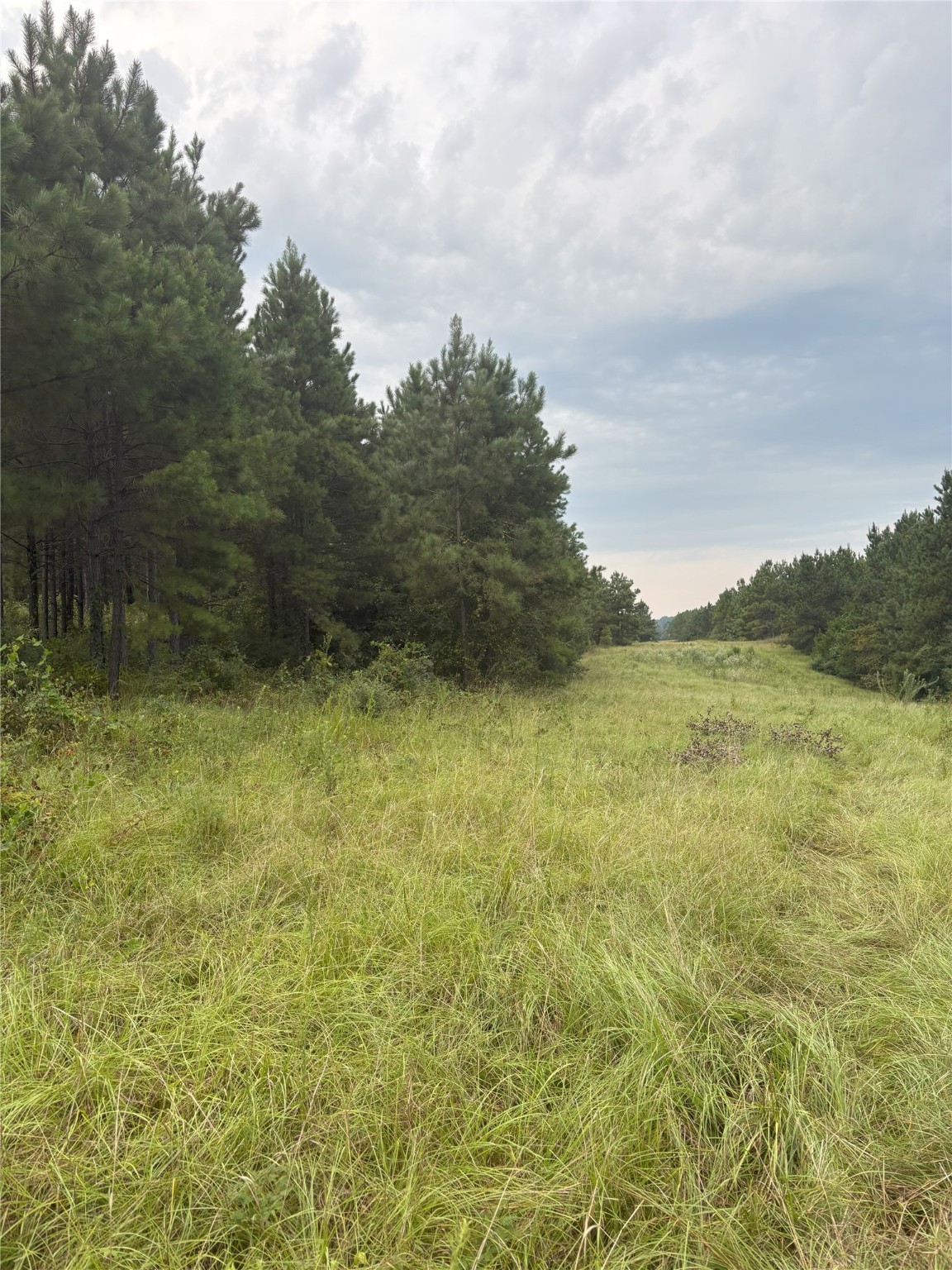 1388 County Road 1060 Center TX 75935
