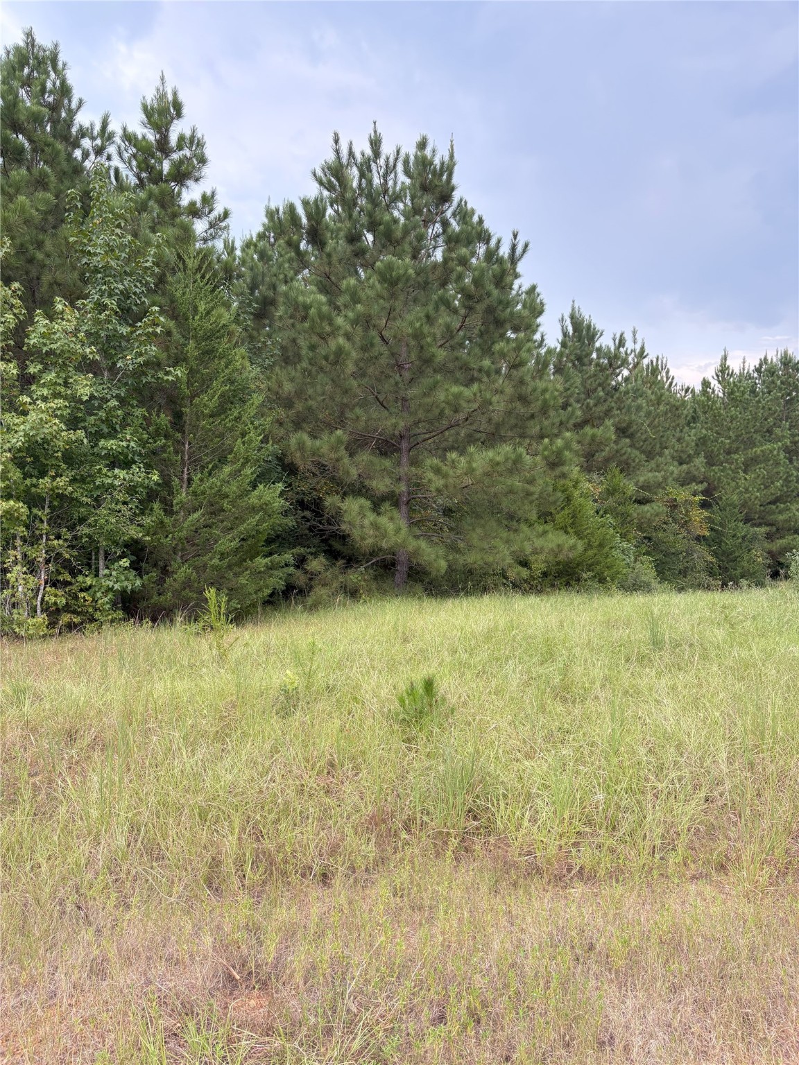 1388 County Road 1060 Center TX 75935