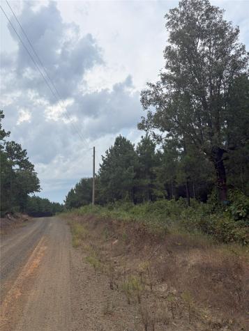 1388 County Road 1060 Center TX 75935