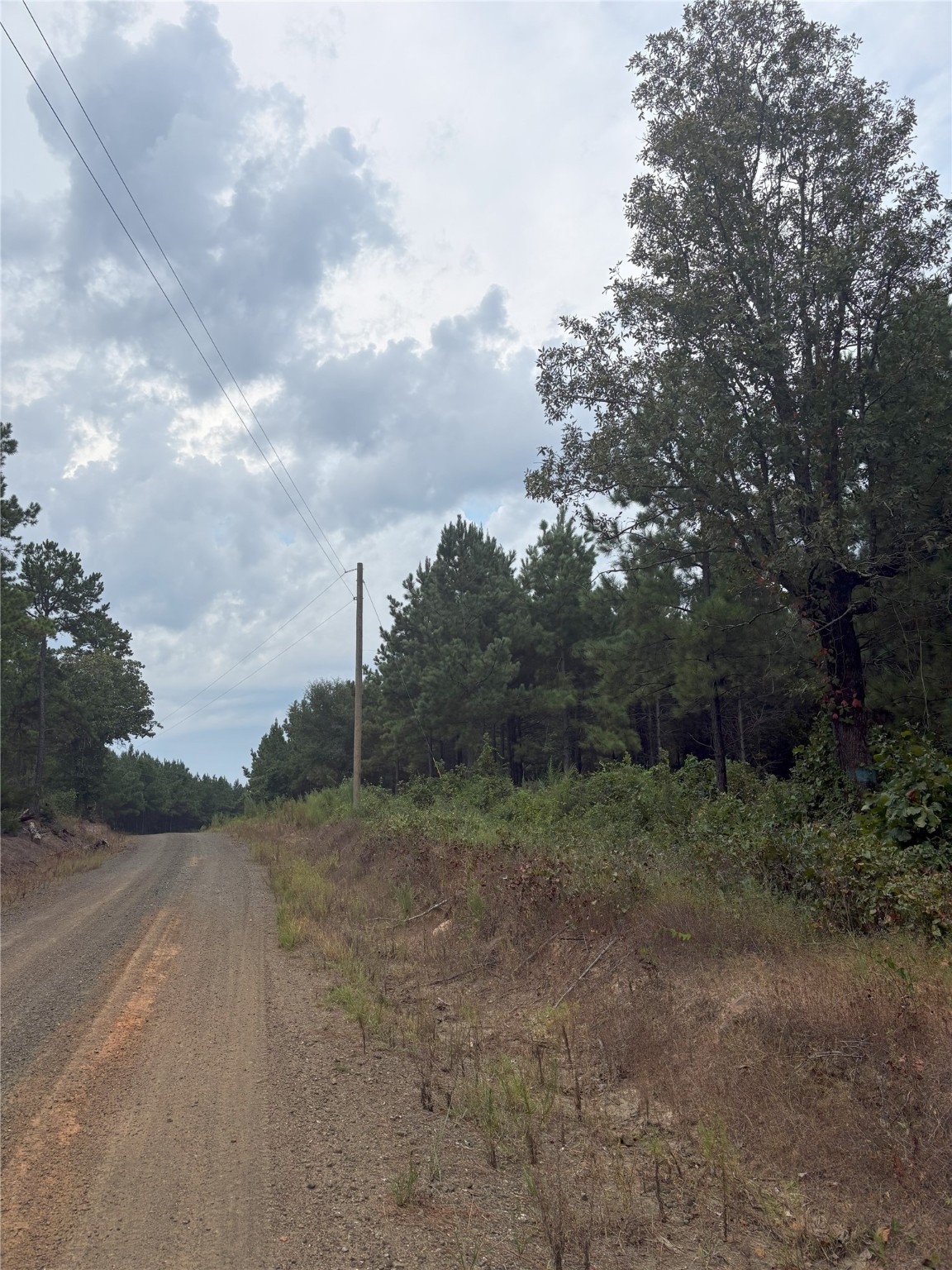 1388 County Road 1060 Center TX 75935