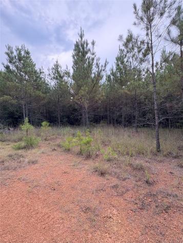 1388 County Road 1060 Center TX 75935