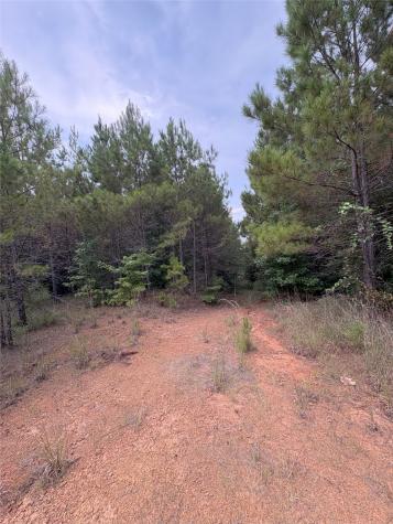 1388 County Road 1060 Center TX 75935