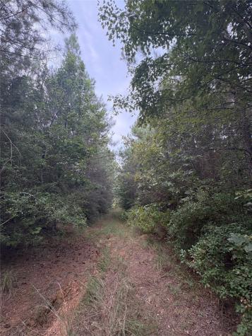 1388 County Road 1060 Center TX 75935