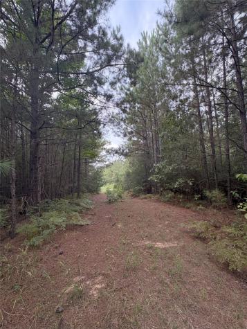 1388 County Road 1060 Center TX 75935