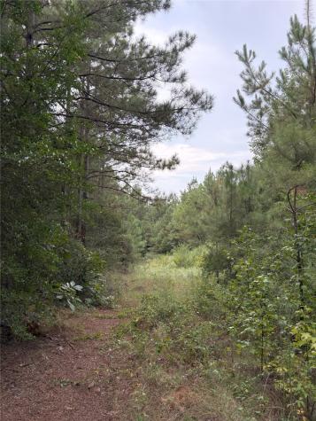 1388 County Road 1060 Center TX 75935