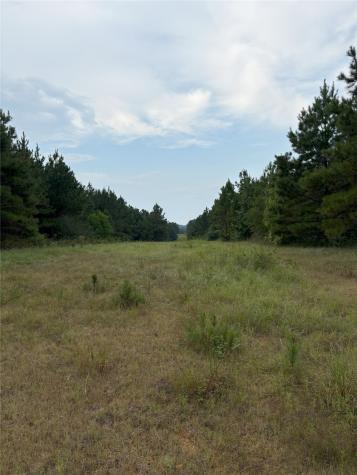 1388 County Road 1060 Center TX 75935