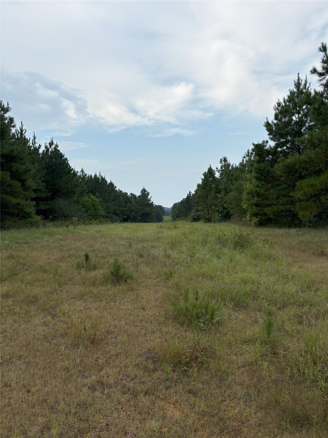 1388 County Road 1060 Center TX 75935