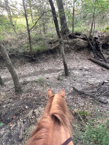 Tbd County Road 3226 Lone Oak TX 75453