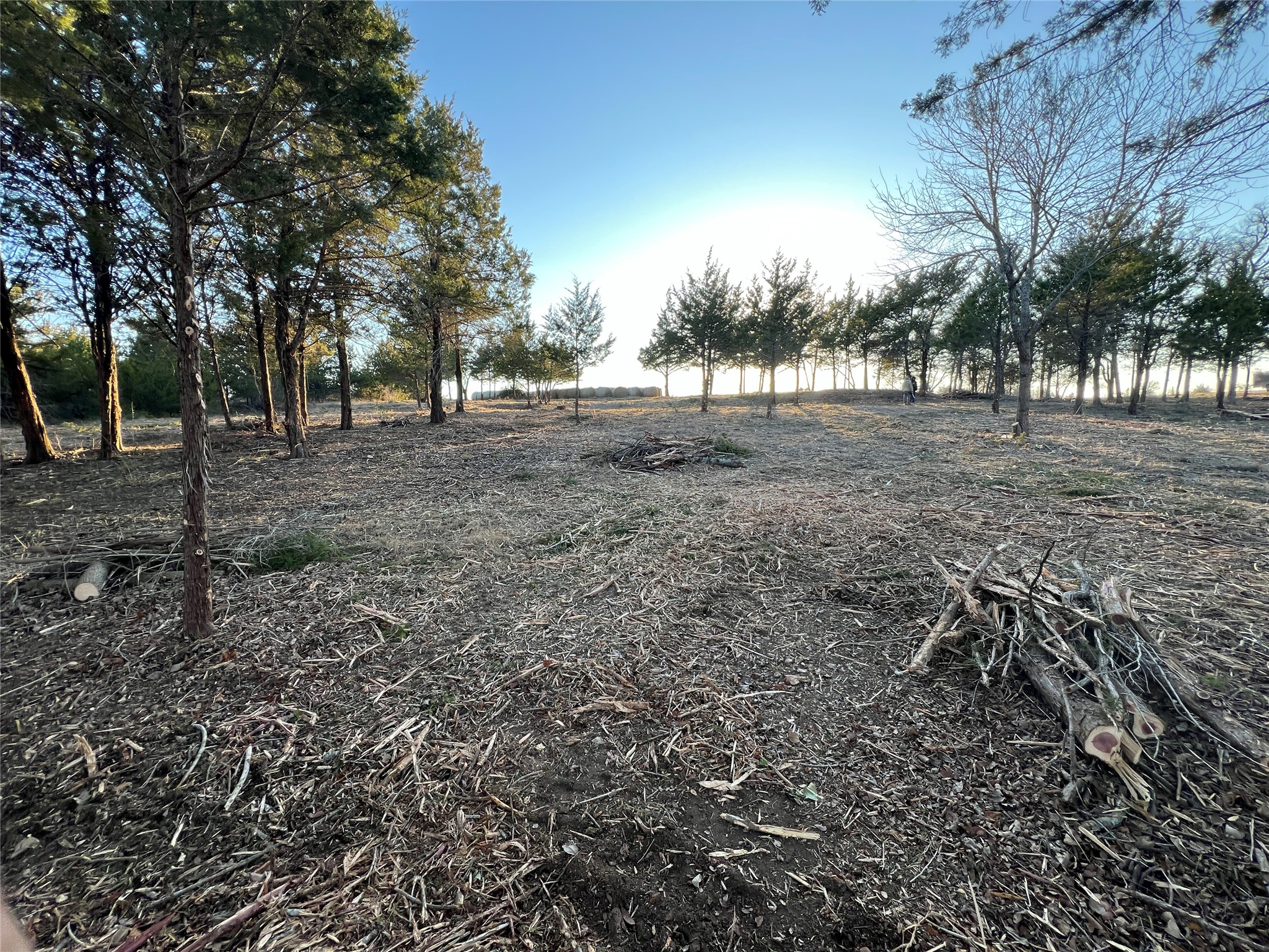 Tbd Lot 29 Ridgecrest Drive Waxahachie TX 75165