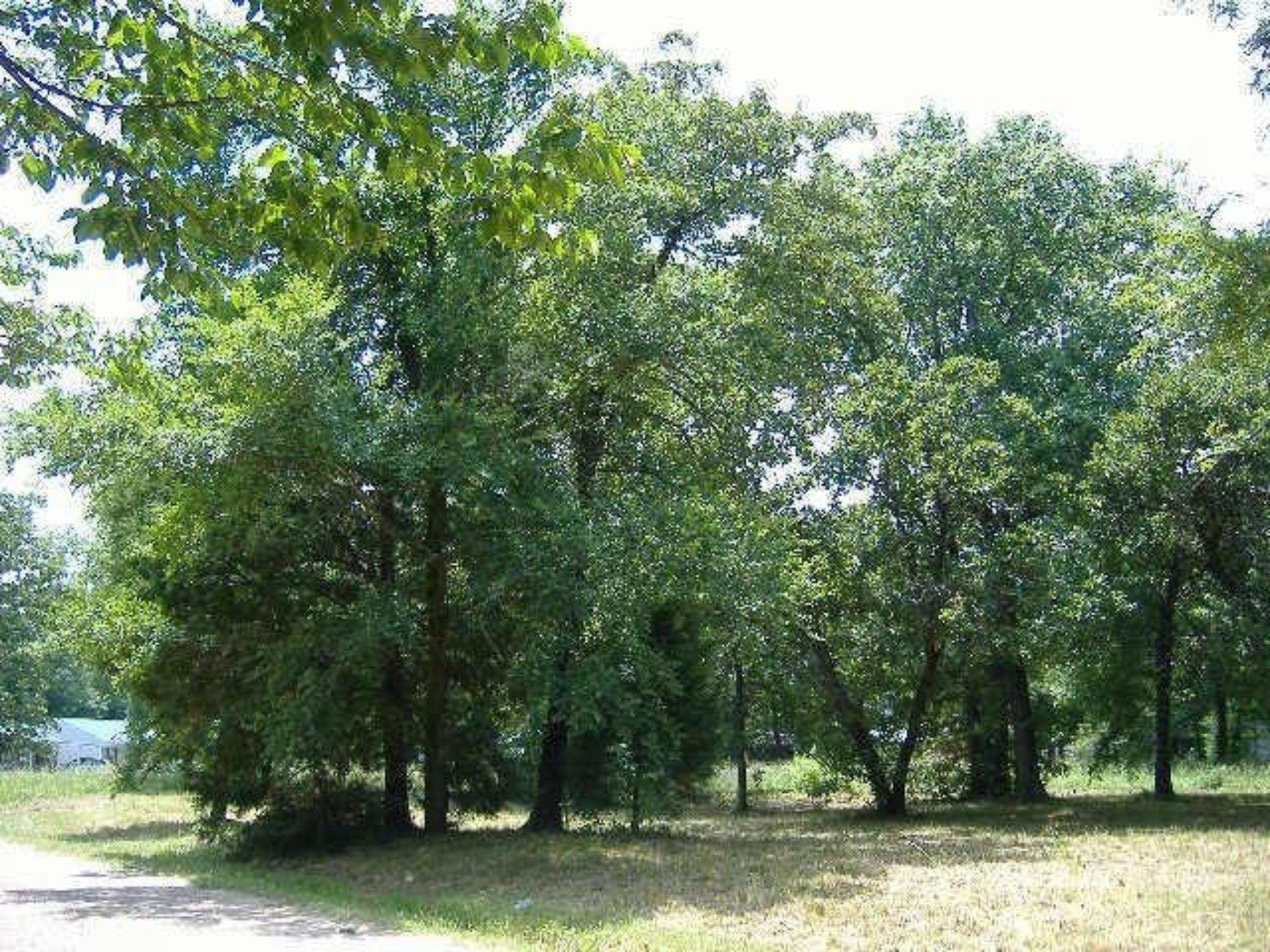 66 Westwind Road Tool TX 75143