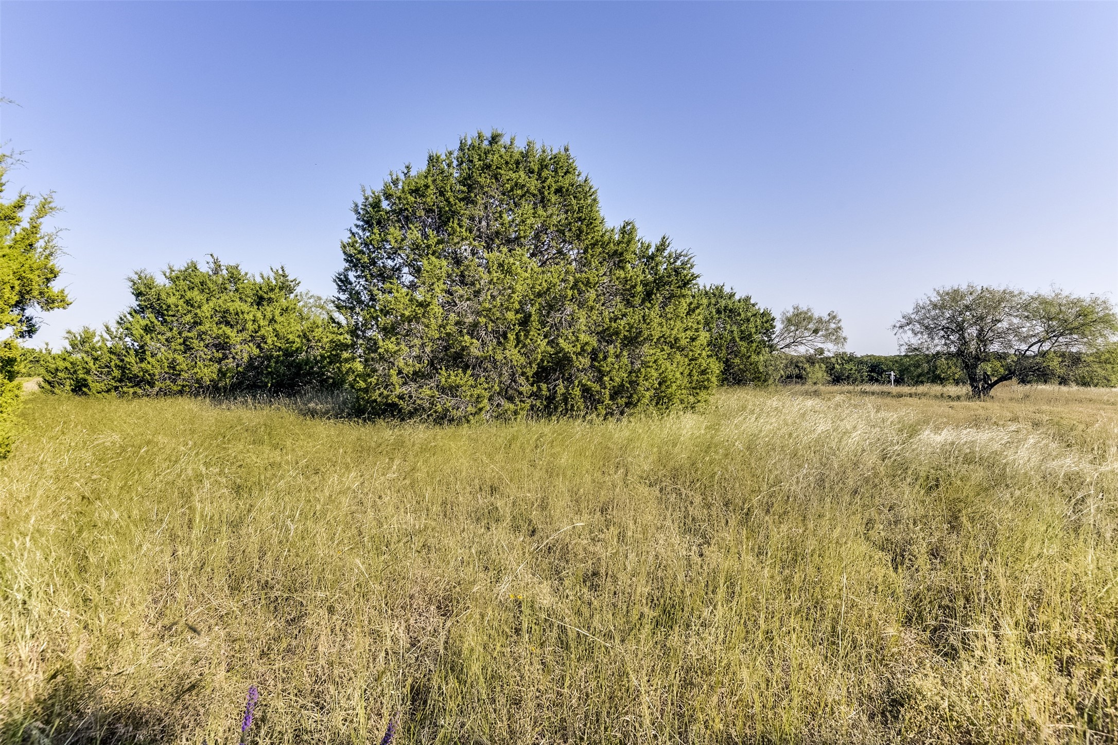 1644 White Bluff Drive Whitney TX 76692