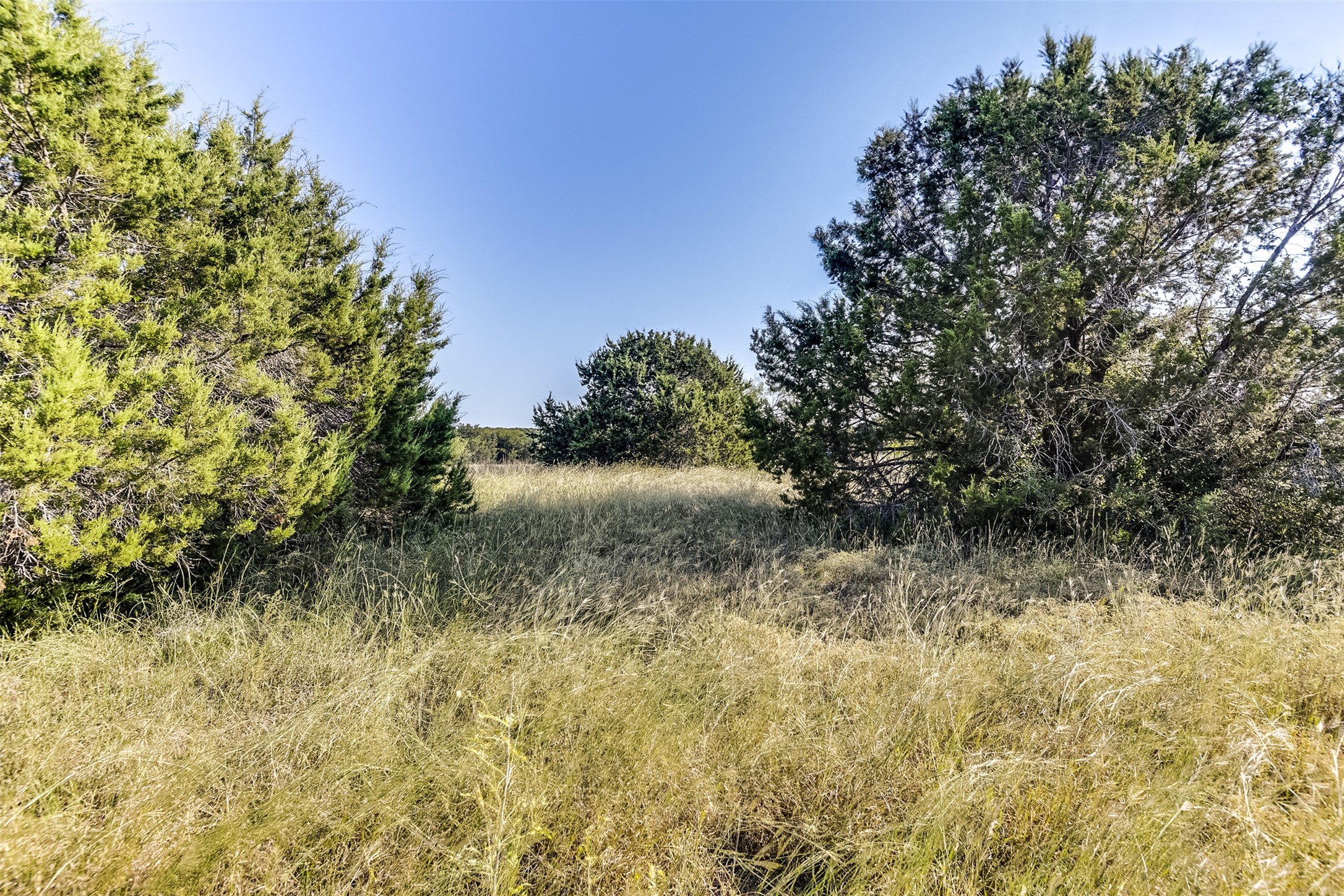 1644 White Bluff Drive Whitney TX 76692