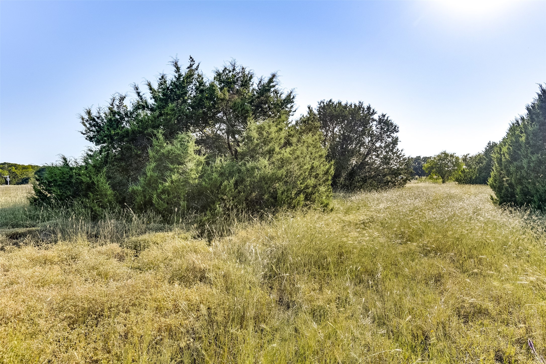 1644 White Bluff Drive Whitney TX 76692