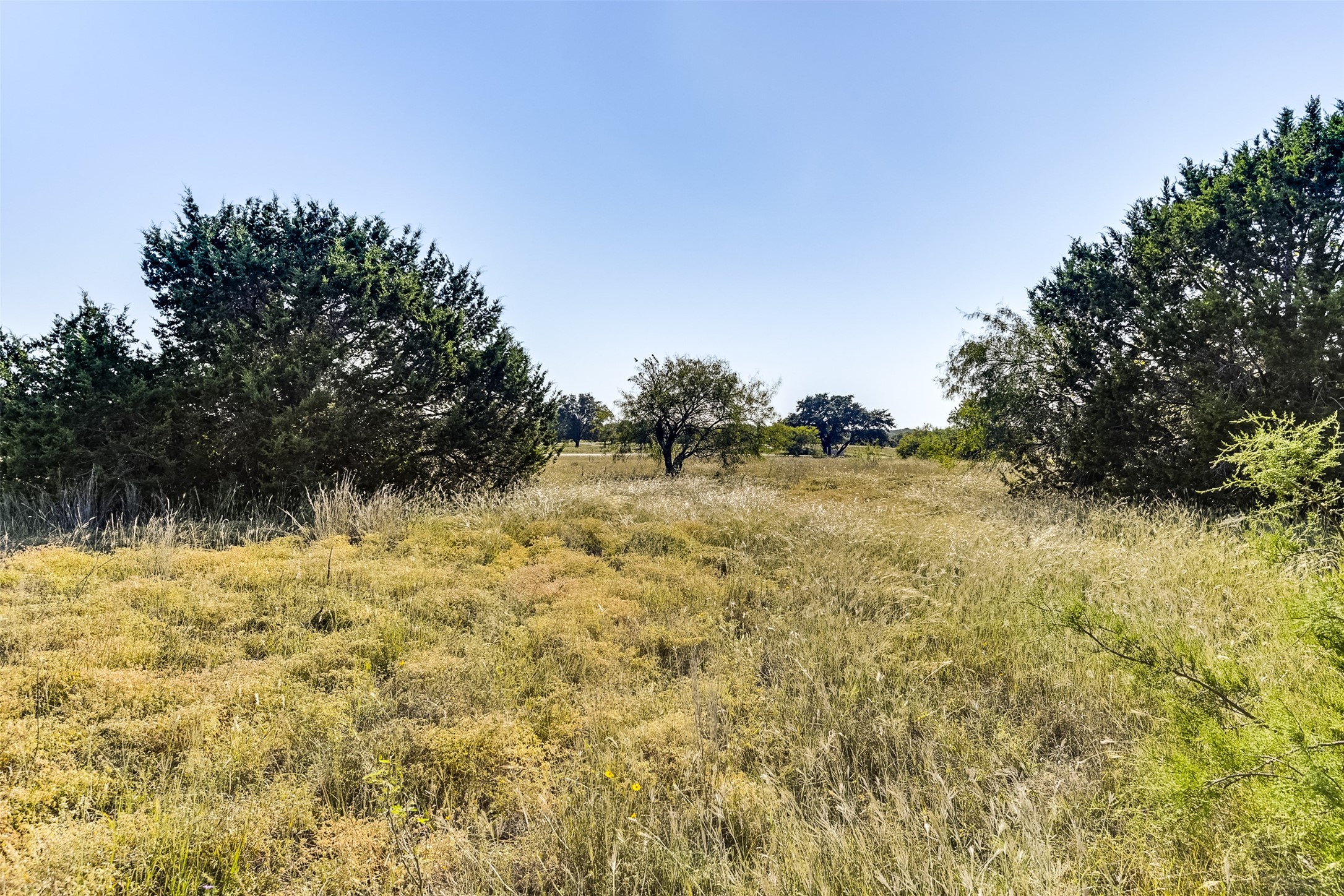 1644 White Bluff Drive Whitney TX 76692