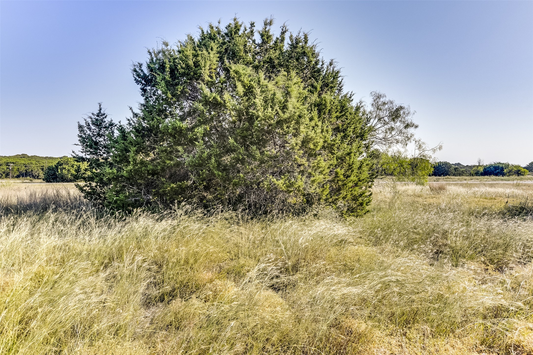 1644 White Bluff Drive Whitney TX 76692