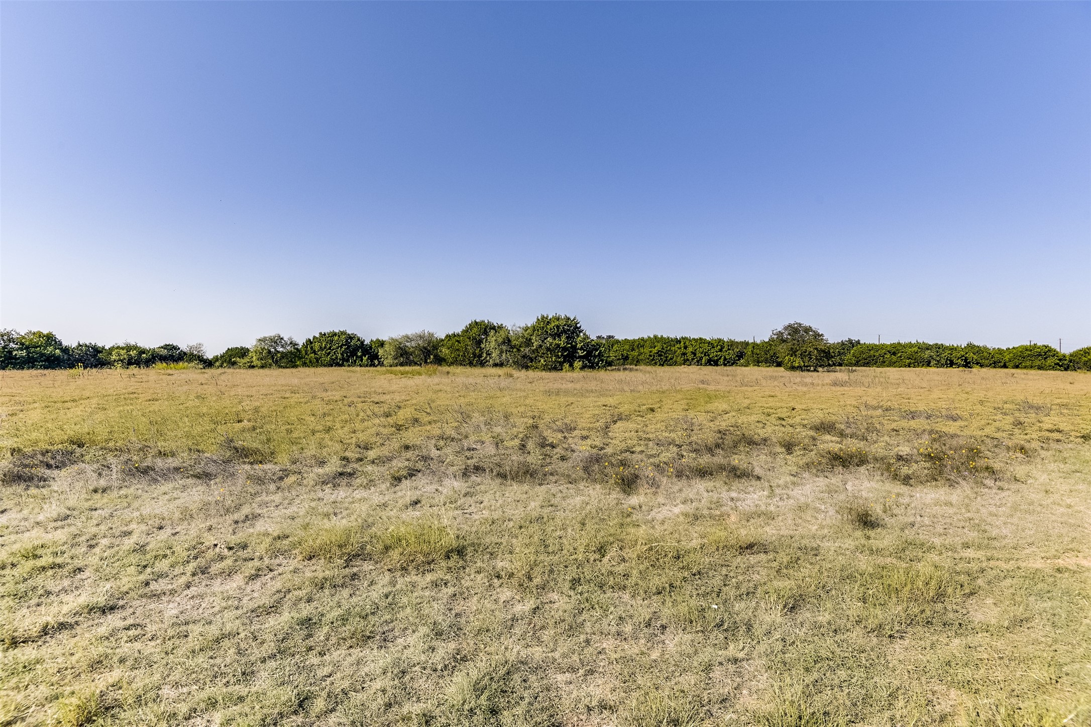 1644 White Bluff Drive Whitney TX 76692
