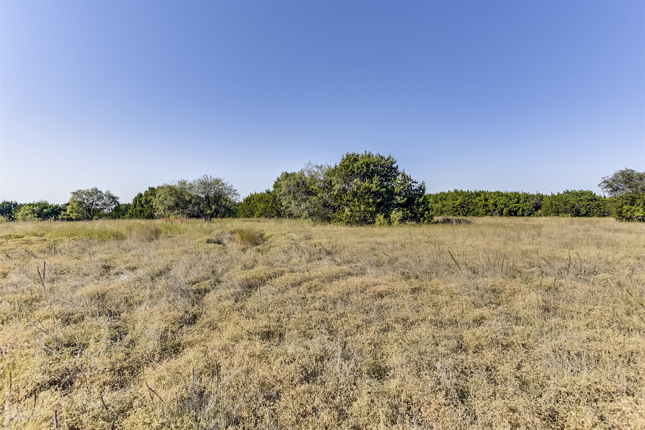 1644 White Bluff Drive Whitney TX 76692
