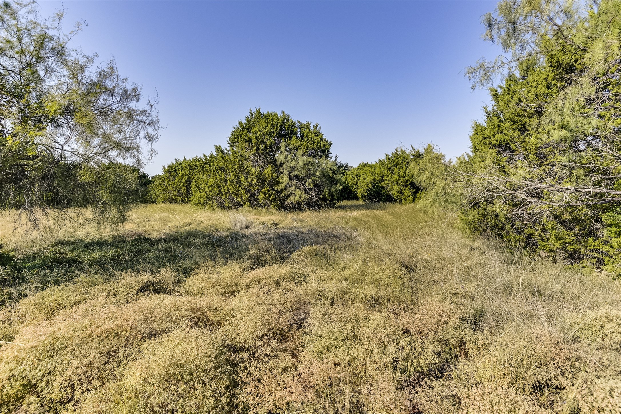 1644 White Bluff Drive Whitney TX 76692